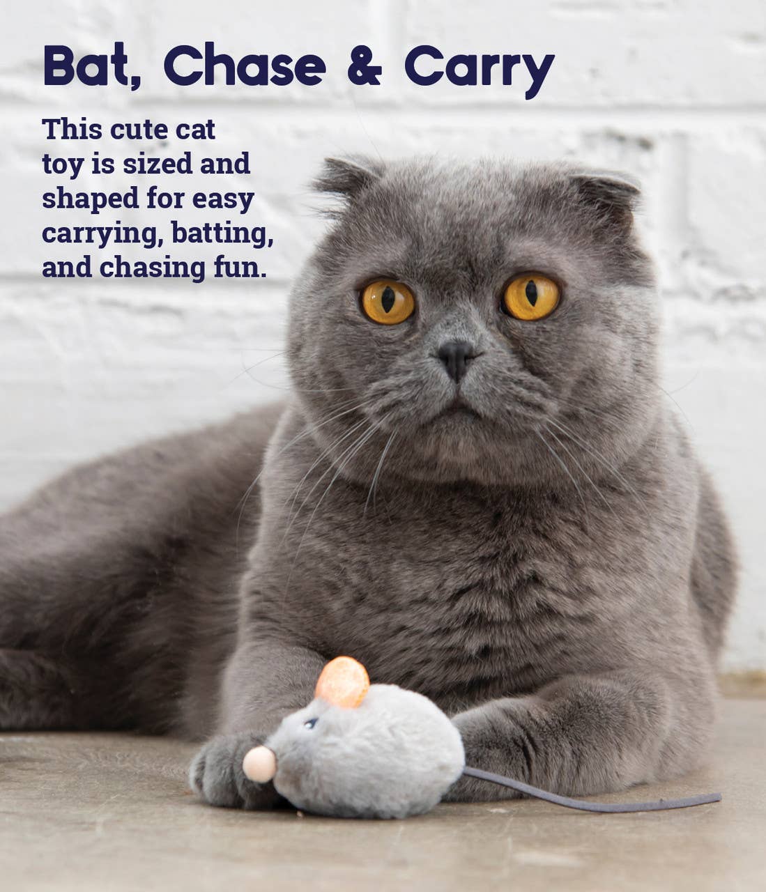 Catstages Squeak Squeak Mouse Cat Toy