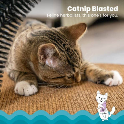 Catstages Cat Scratch and Groom Corrugated Cat Scratch Pad