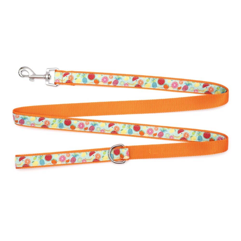 Worthy Dog - Tutti Frutti Lead