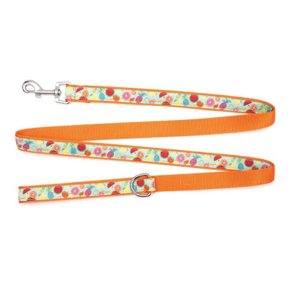 Worthy Dog - Tutti Frutti Lead