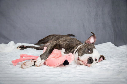 Fluff & Tuff "Lola" - Flamingo Plush Dog Toy