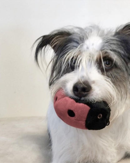 Fluff & Tuff "Lady" - Bug Plush Dog Toy