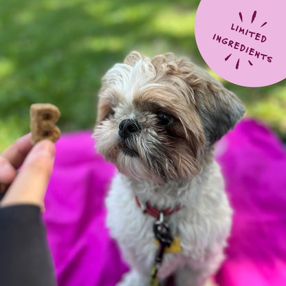 Bocce's Bakery Quack Quack Quack Duck & Blueberry Recipe Soft & Chewy Dog Treats, 6-oz bag