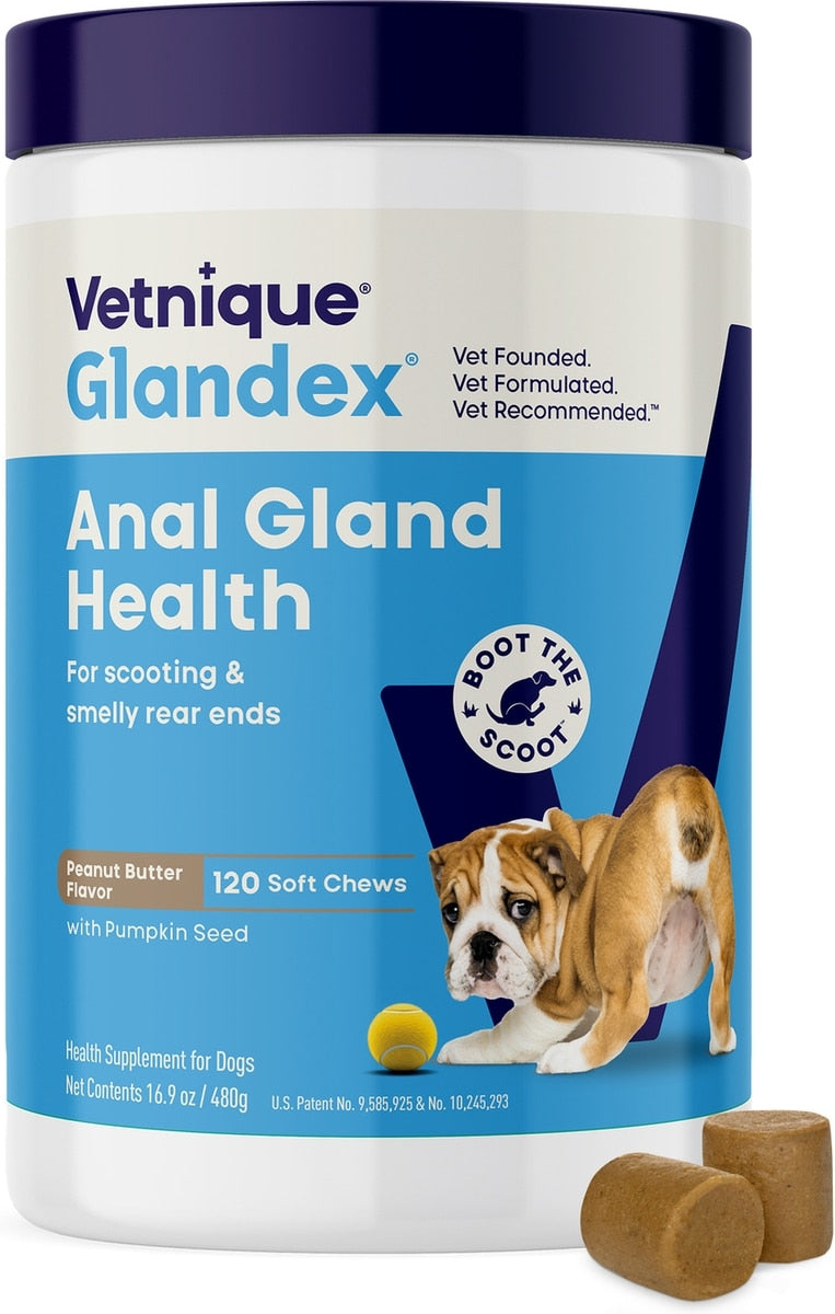 Vetnique Labs Glandex Dog Anal Gland Support Soft Chews with Pumpkin, Digestive Enzymes, Probiotics & Fiber Supplement, Peanut Butter Flavored