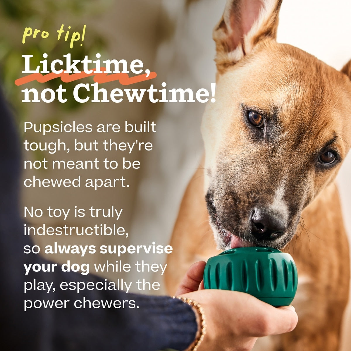 Woof Pupsicle Tough Chew Treat Dispensing Dog Toy, Pumpkin