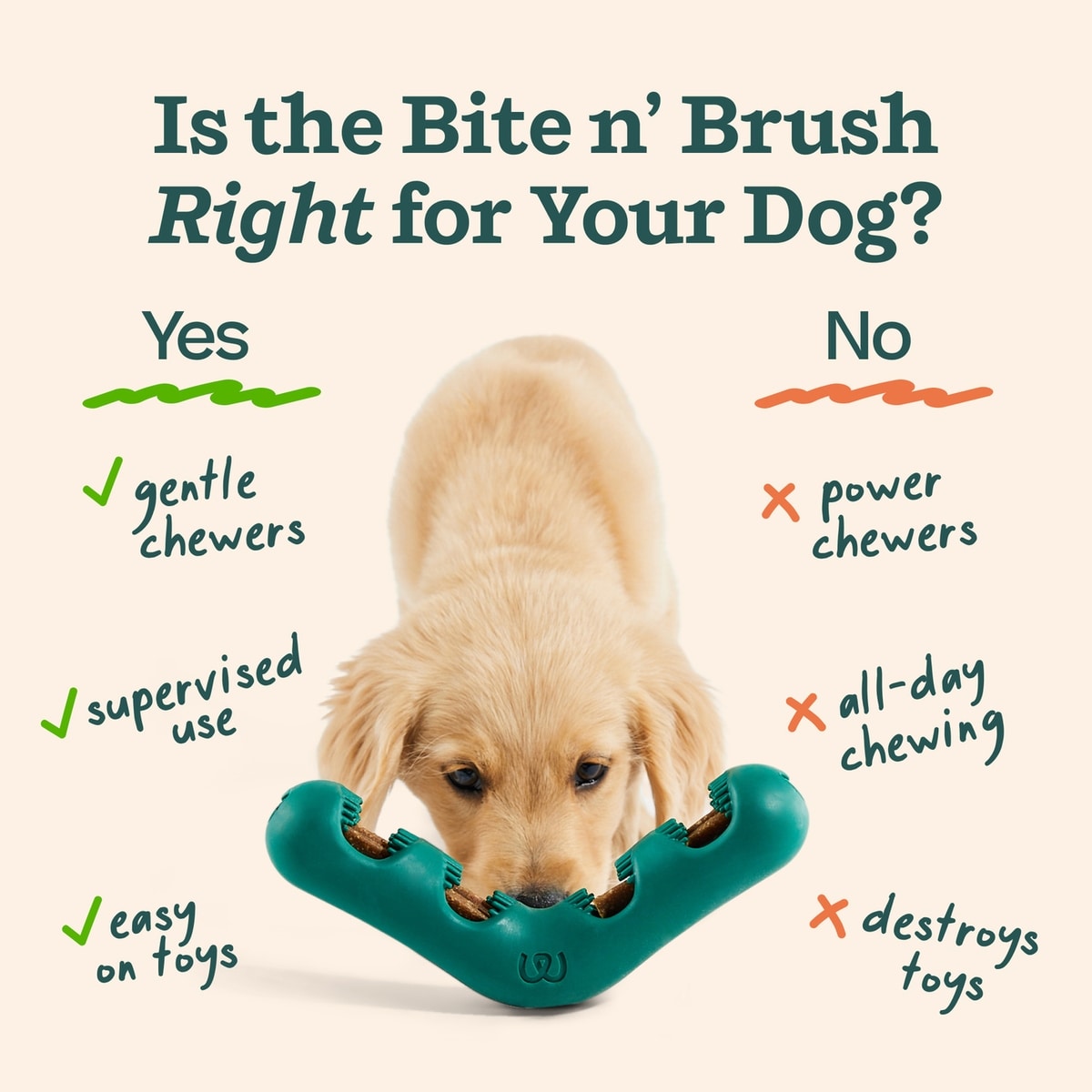 Woof Holiday Bite n' Brush for Dogs