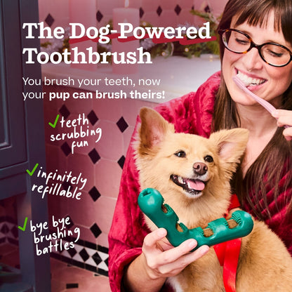 Woof Holiday Bite n' Brush for Dogs