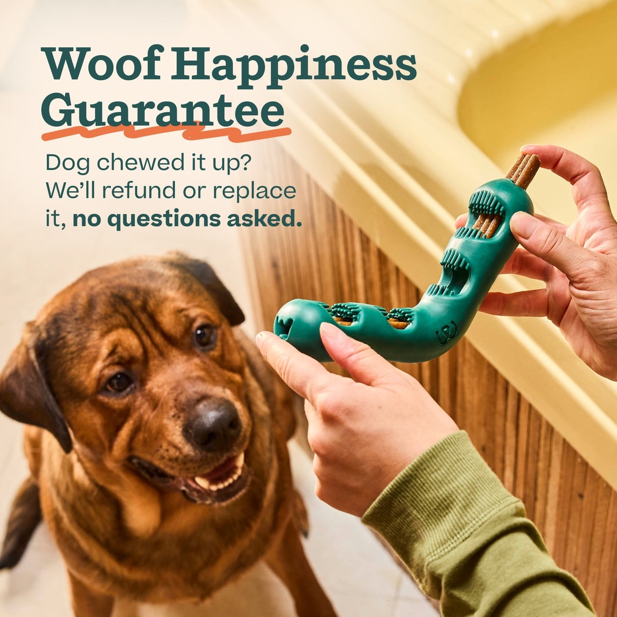 Woof Holiday Bite n' Brush for Dogs