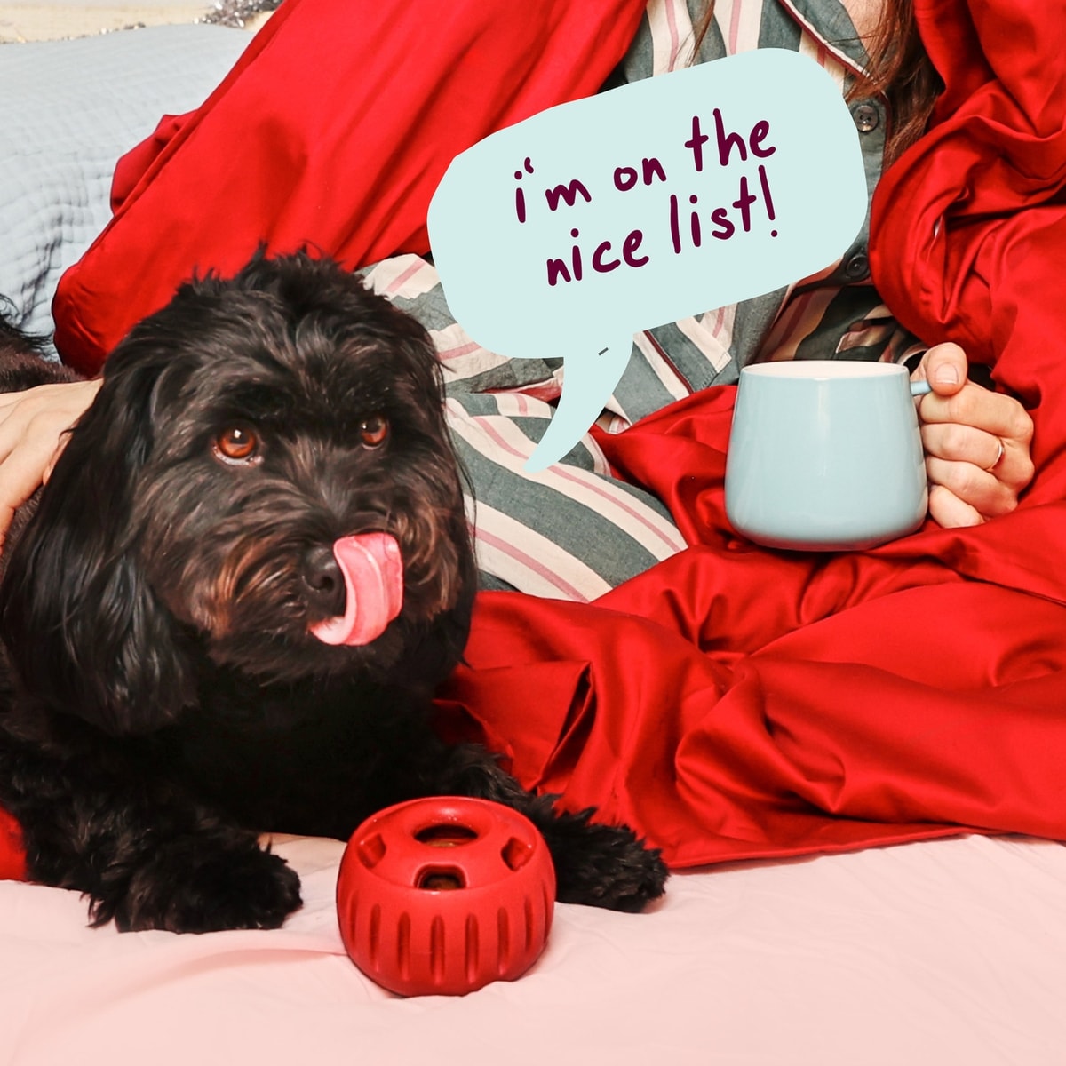 Woof Pupsicle Jingle Pops Refills Peanut Butter Grain-Free Lickable Dog Treats