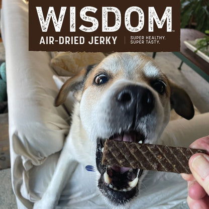 Earth Animal Wisdom Air-Dried From the Sea Recipe with Catfish, Clams, & Sardines Premium Natural Jerky Strips Dog Treats