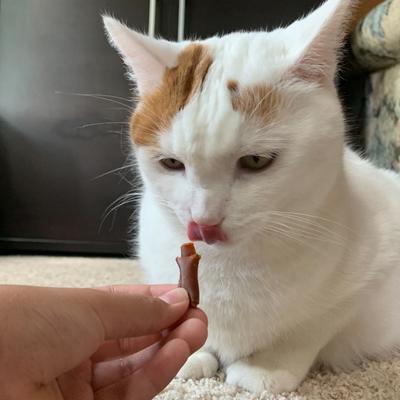 Stashios Wrap-Ups Cheese Pill Wrapper Dog & Cat Treat