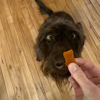 Stashios Wrap-Ups Cheese Pill Wrapper Dog & Cat Treat