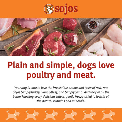 Sojos Simply Lamb Freeze-Dried Dog Treats