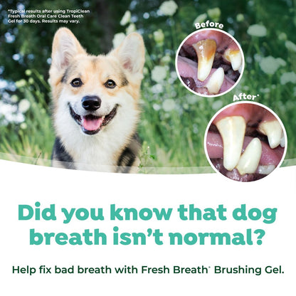 Fresh Breath Dog Oral Care Kit, Small/Medium Dog