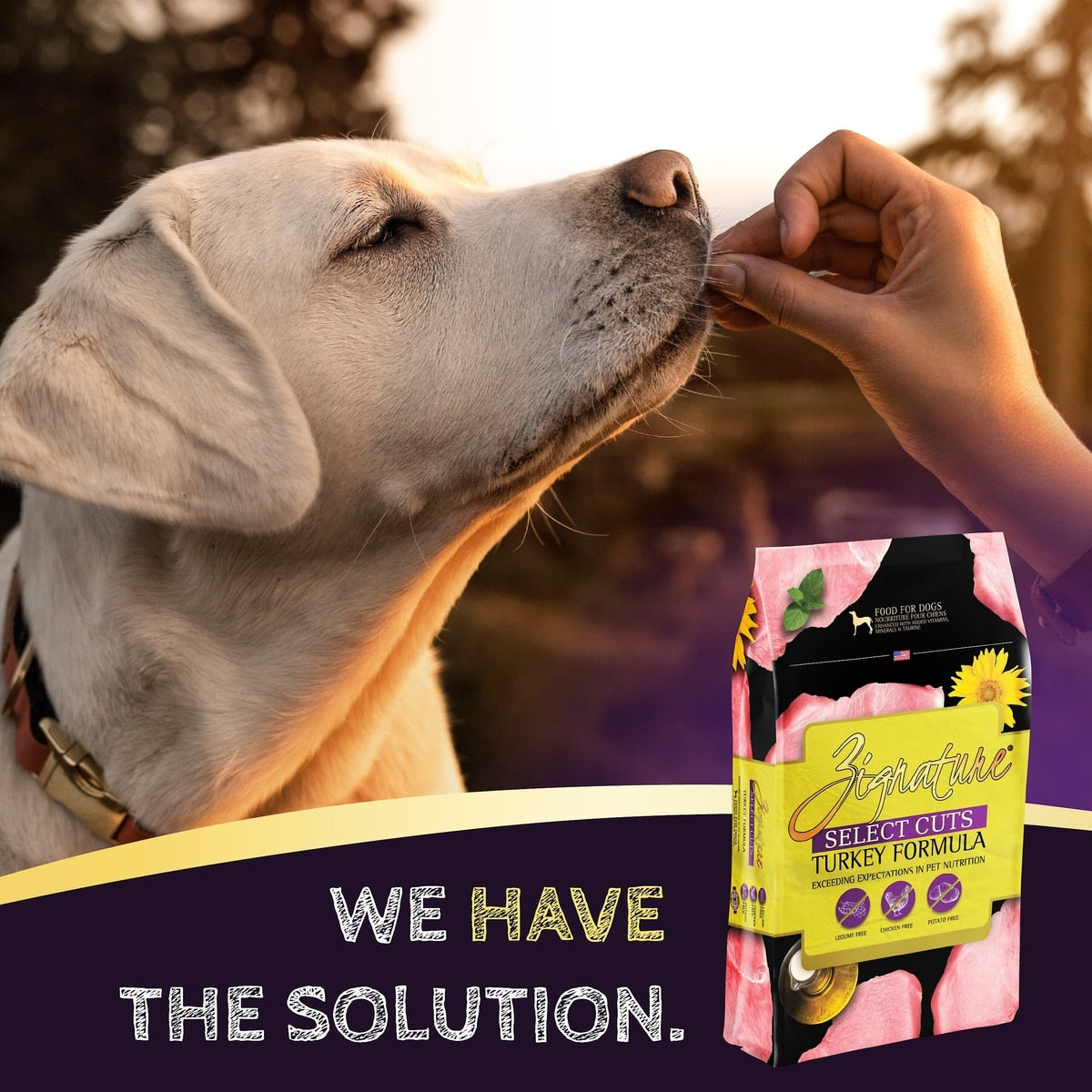 Zignature Select Cuts Turkey with Super Grains Formula Dry Dog Food