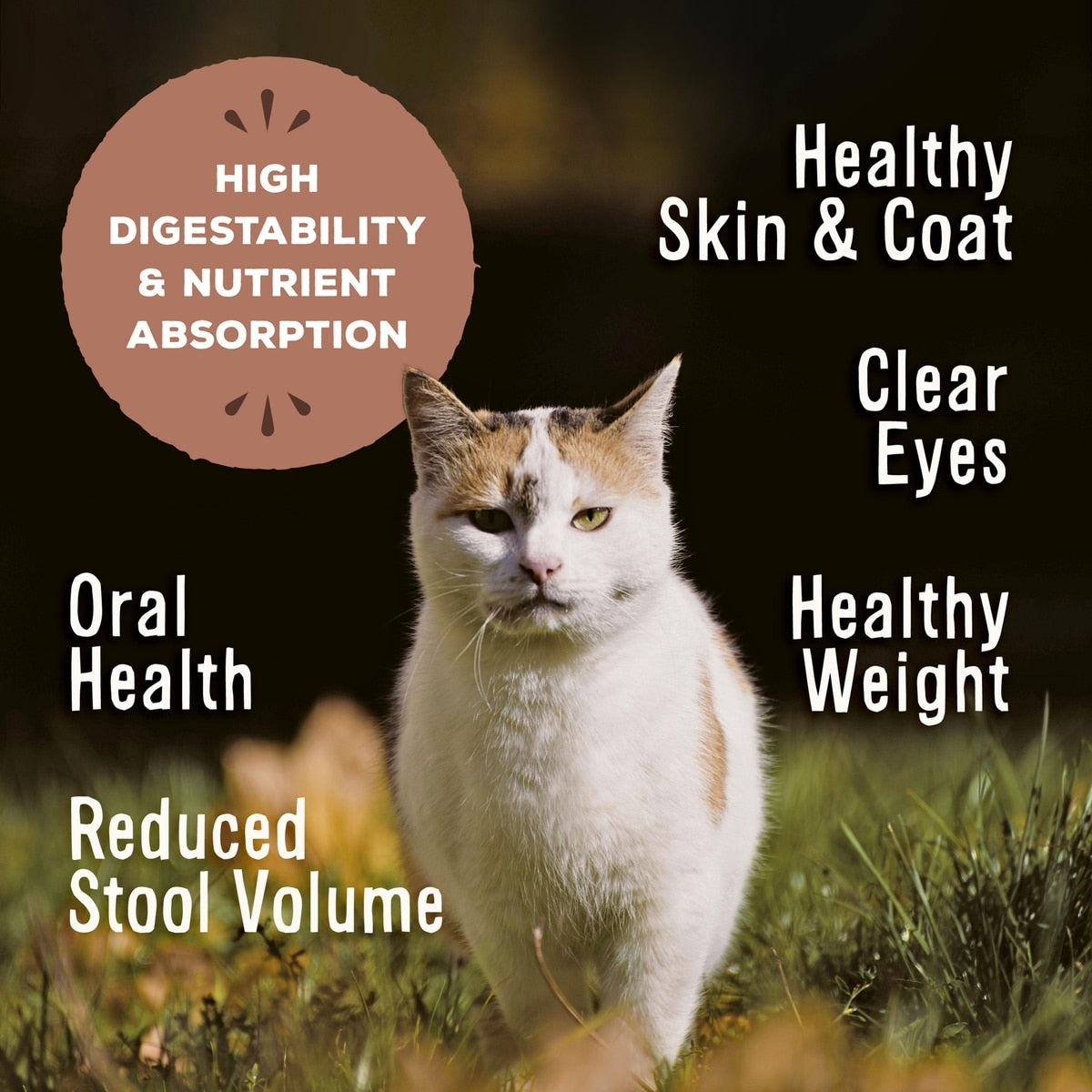Primal Chicken & Salmon Formula Nuggets Grain-Free Raw Freeze-Dried Cat Food