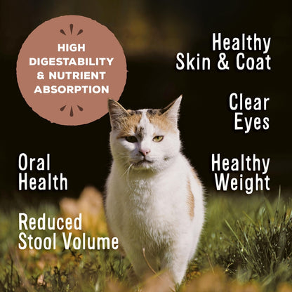 Primal Chicken & Salmon Formula Nuggets Grain-Free Raw Freeze-Dried Cat Food