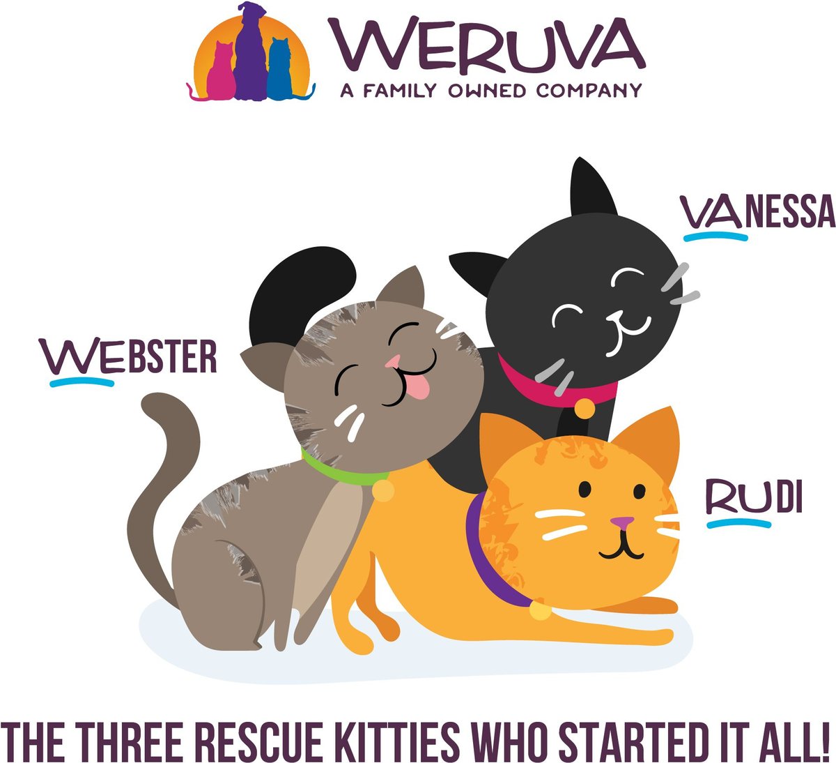 Weruva B.F.F. Kitten! Canned Cat Food
