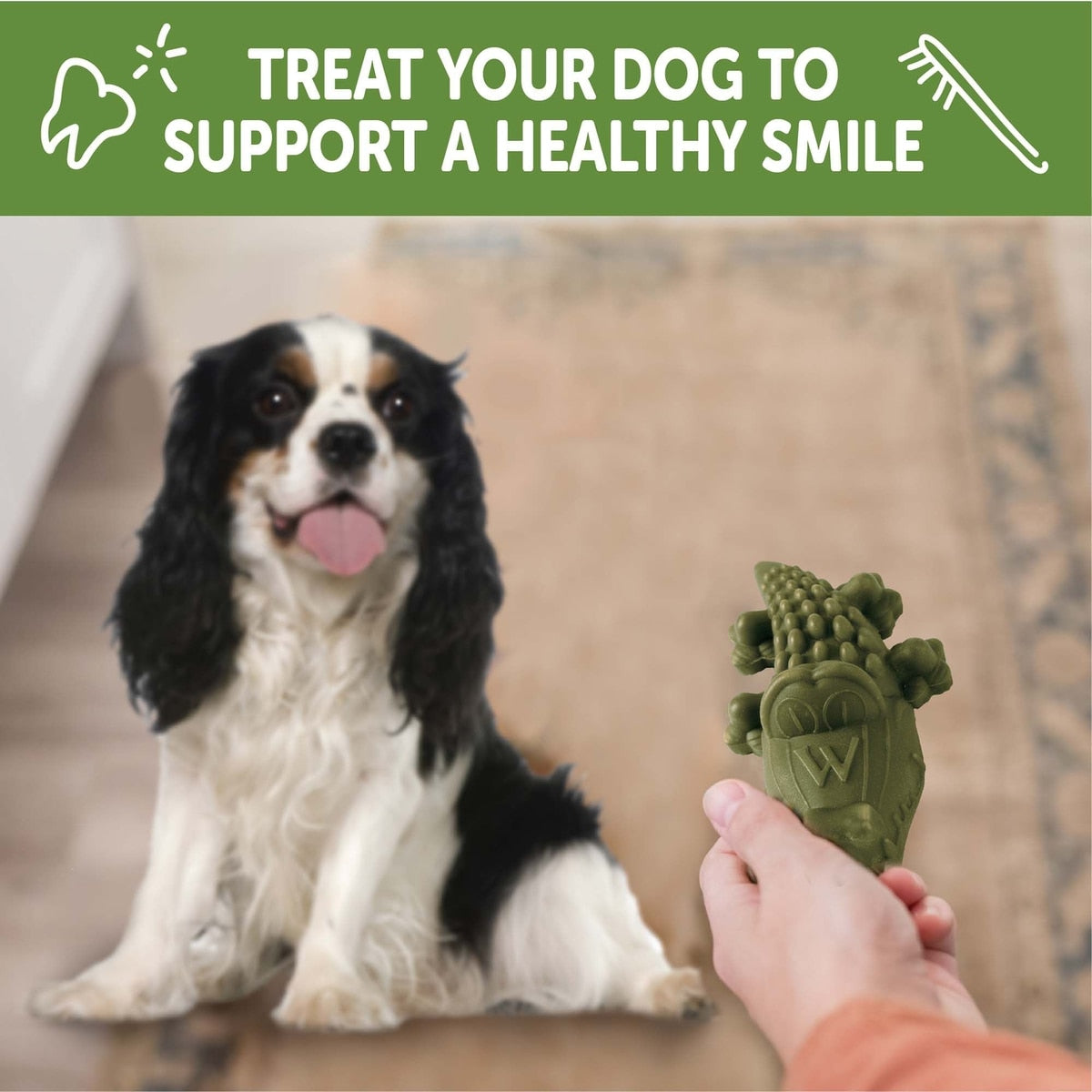 WHIMZEES by Wellness Alligator Dental Chews Natural Grain-Free Dental Dog Treats, Small