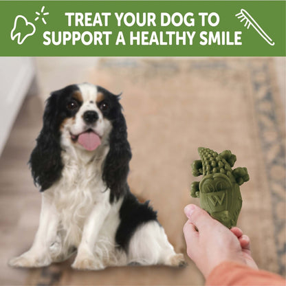 WHIMZEES by Wellness Alligator Dental Chews Natural Grain-Free Dental Dog Treats, Small