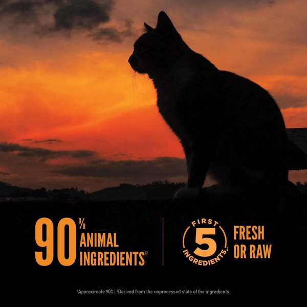 Orijen Wild Reserve Free-Run Chicken & Wild-Caught Fish Recipe Dry Cat