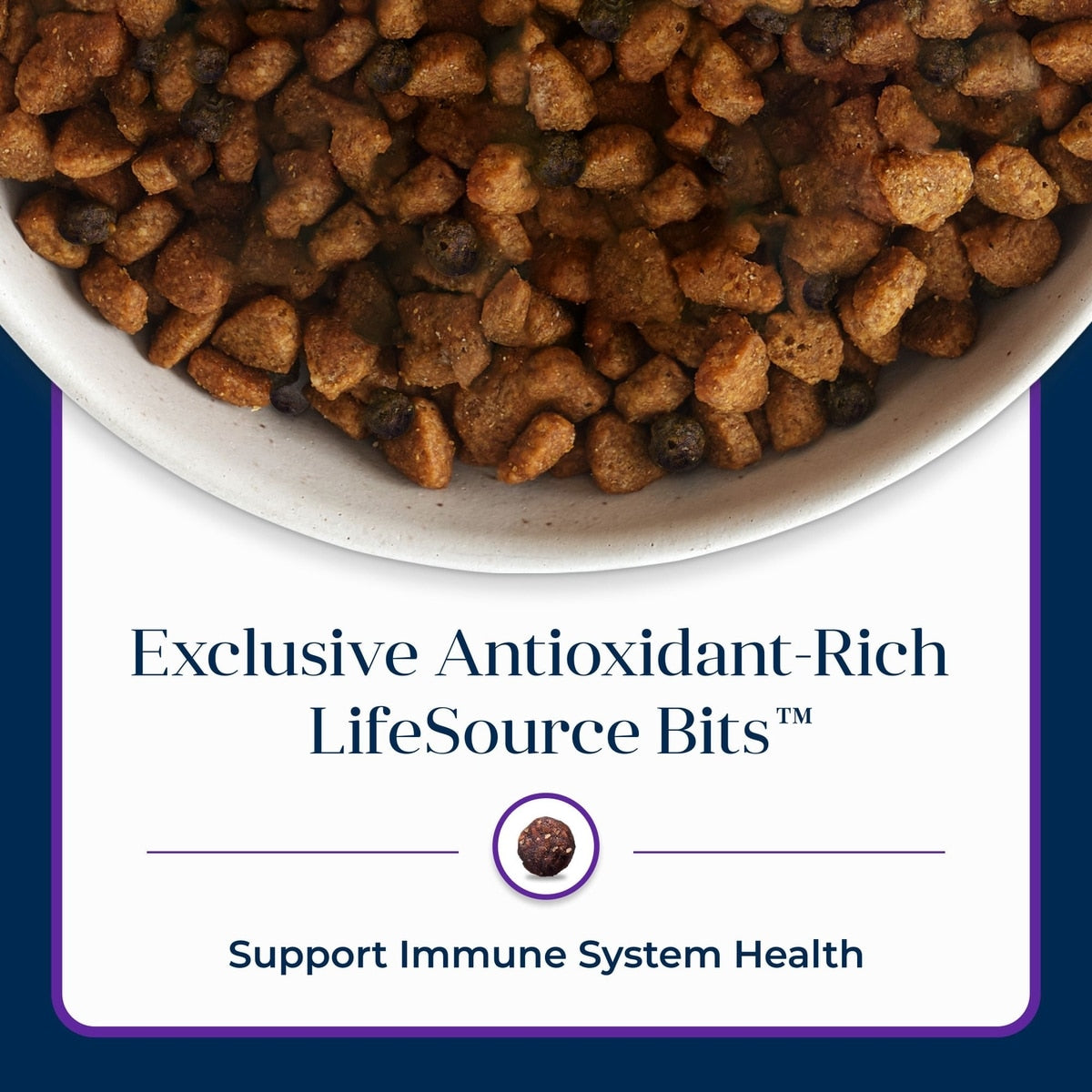 Blue Buffalo Basics Skin & Stomach Care Adult Grain-Free Turkey & Potato Recipe Dry Dog Food