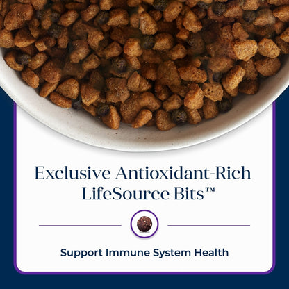 Blue Buffalo Basics Skin & Stomach Care Adult Grain-Free Turkey & Potato Recipe Dry Dog Food