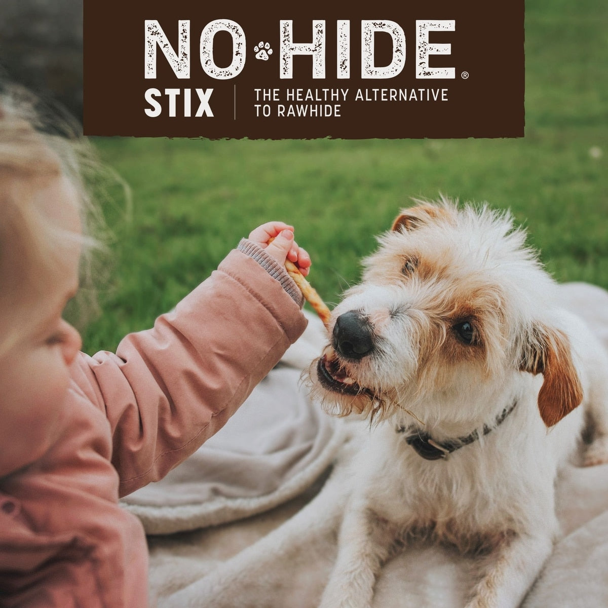 Earth Animal No-Hide Stix Beef Recipe Rawhide Alternative Chew Dog & Cat Treat Sticks
