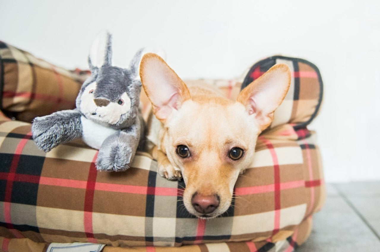 Fluff & Tuff "Jessica" - Bunny Plush Dog Toy
