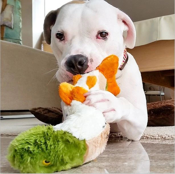 Fluff & Tuff "Ruby" Rainbow Trout Plush Dog Toy
