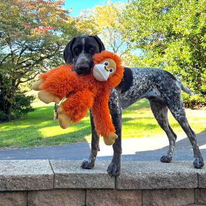 Tall Tails Dog Orangutan Rope Body Toy