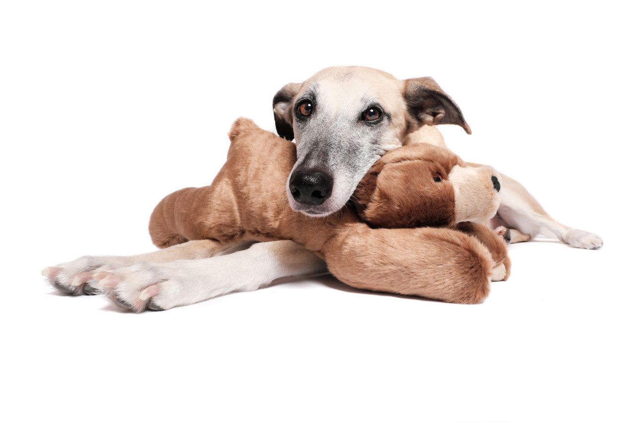 Fluff & Tuff "Sadie" - Bear Plush Dog Toy