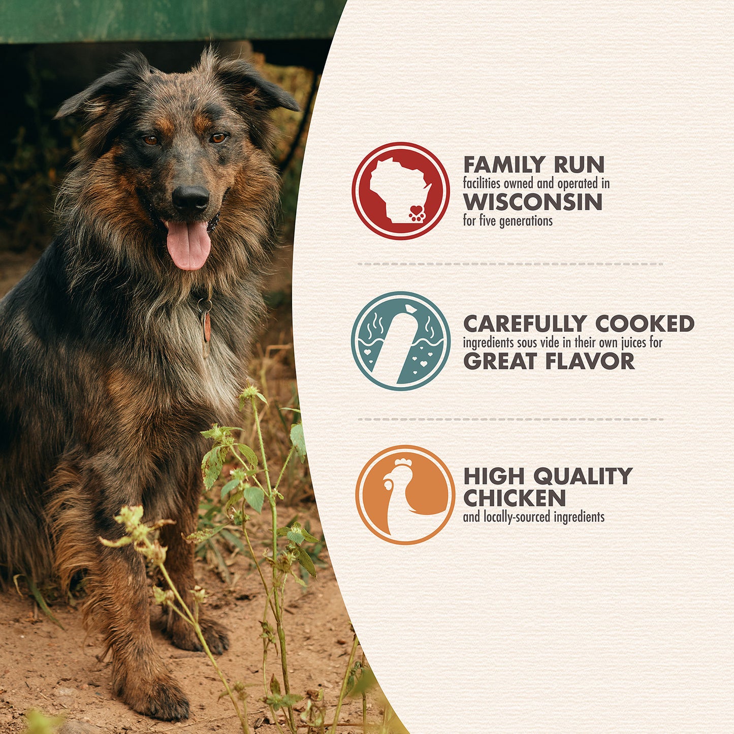 Fromm Bonnihill Farms ChickiBowls Chicken Recipe Gently Cooked Frozen Dog Food