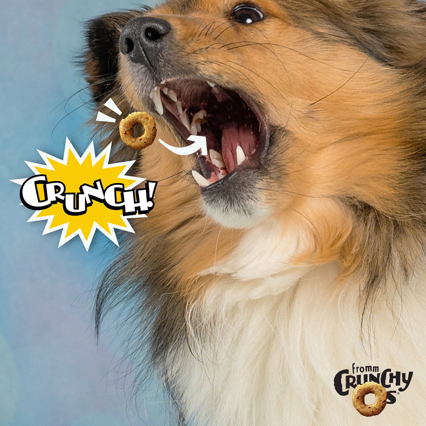 Crunchy Os Blueberry Blasts Flavor Dog Treats