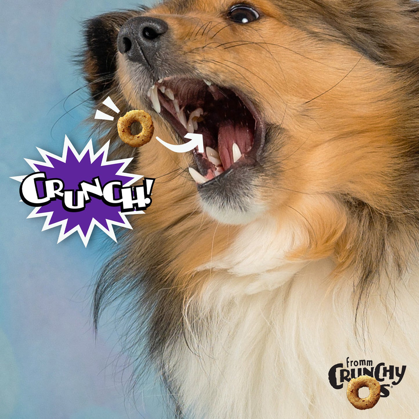 Crunchy Os Smokin' CheesePlosions Flavor Dog Treats