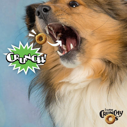 Crunchy Os Pumpkin Kran POW Flavor Dog Treats