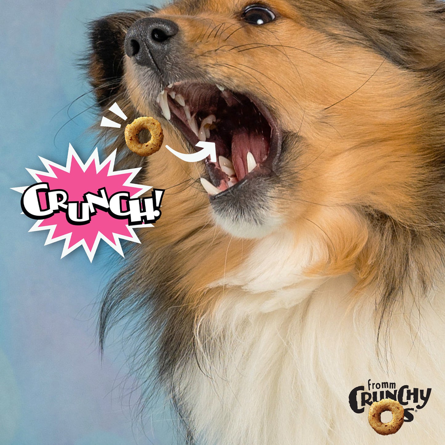 Crunchy Os Slammon' Smoked Salmon Flavor Dog Treats