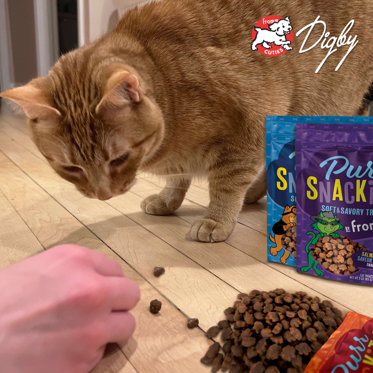 Fromm PurrSnackitty Liver Soft and Savory Cat Treats