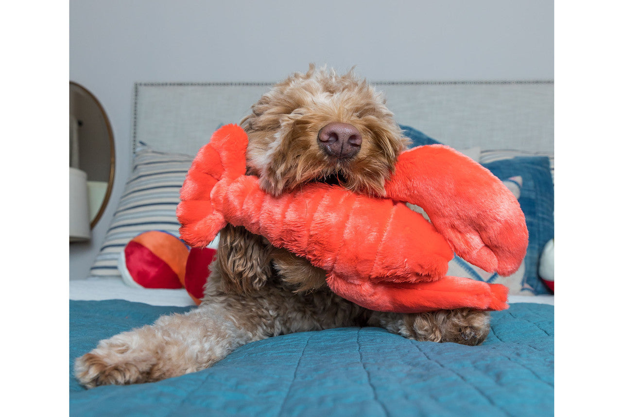 Fluff & Tuff "Manny" - Lobster Plush Dog Toy