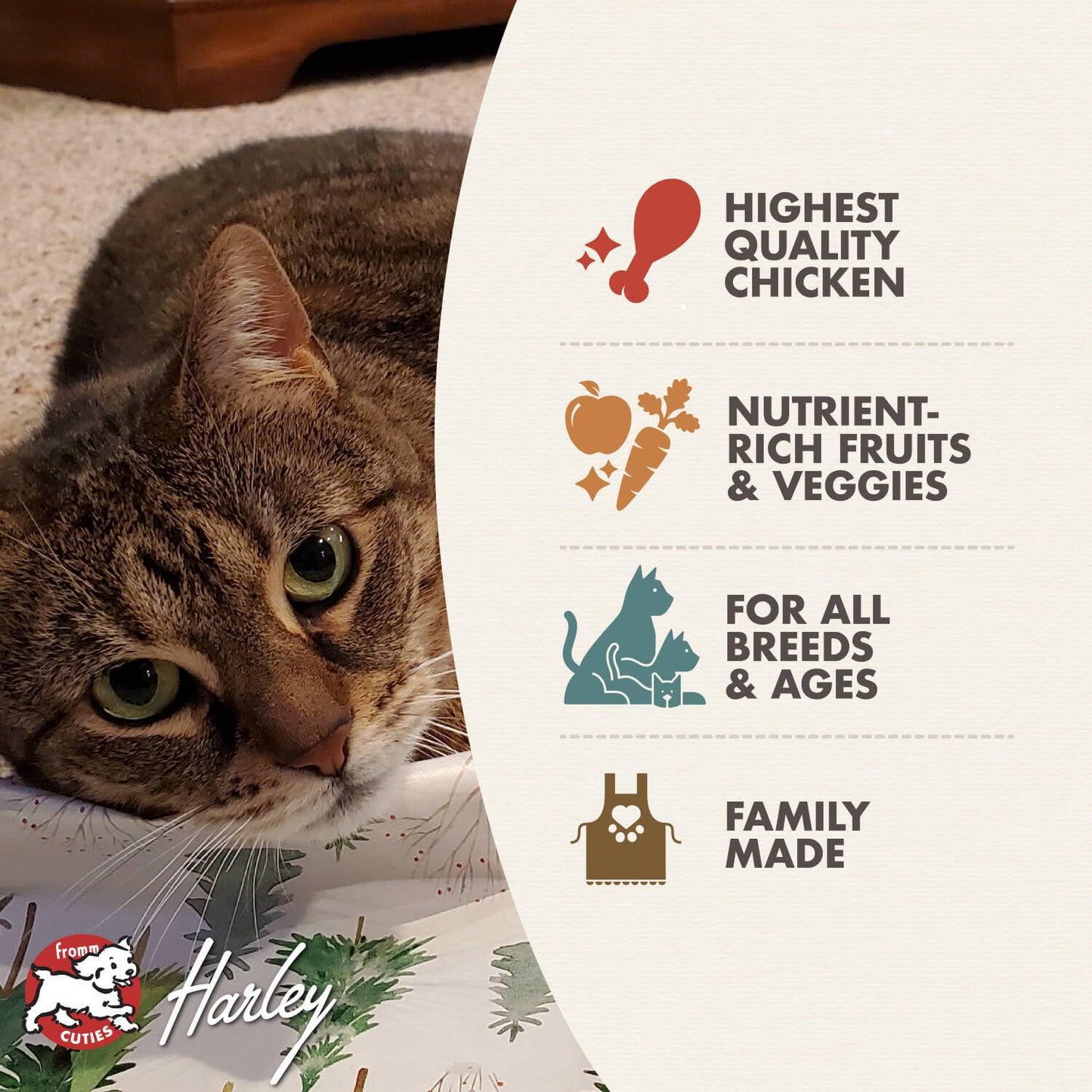 Fromm Four-Star Grain Free Chicken Au Frommage Dry Cat Food