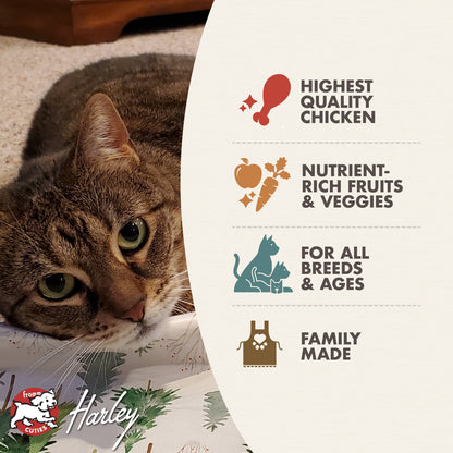 Fromm Four-Star Grain Free Chicken Au Frommage Dry Cat Food
