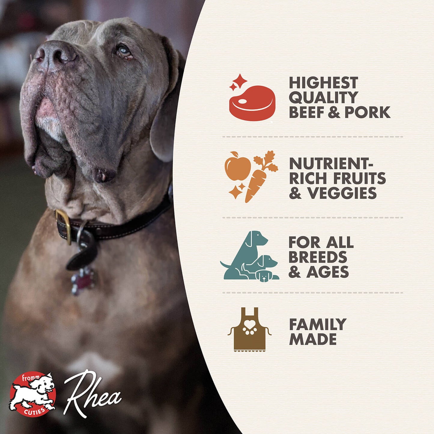 Fromm Four-Star Grain Free Beef Frittata Dry Dog Food