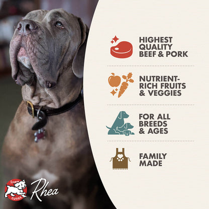 Fromm Four-Star Grain Free Beef Frittata Dry Dog Food