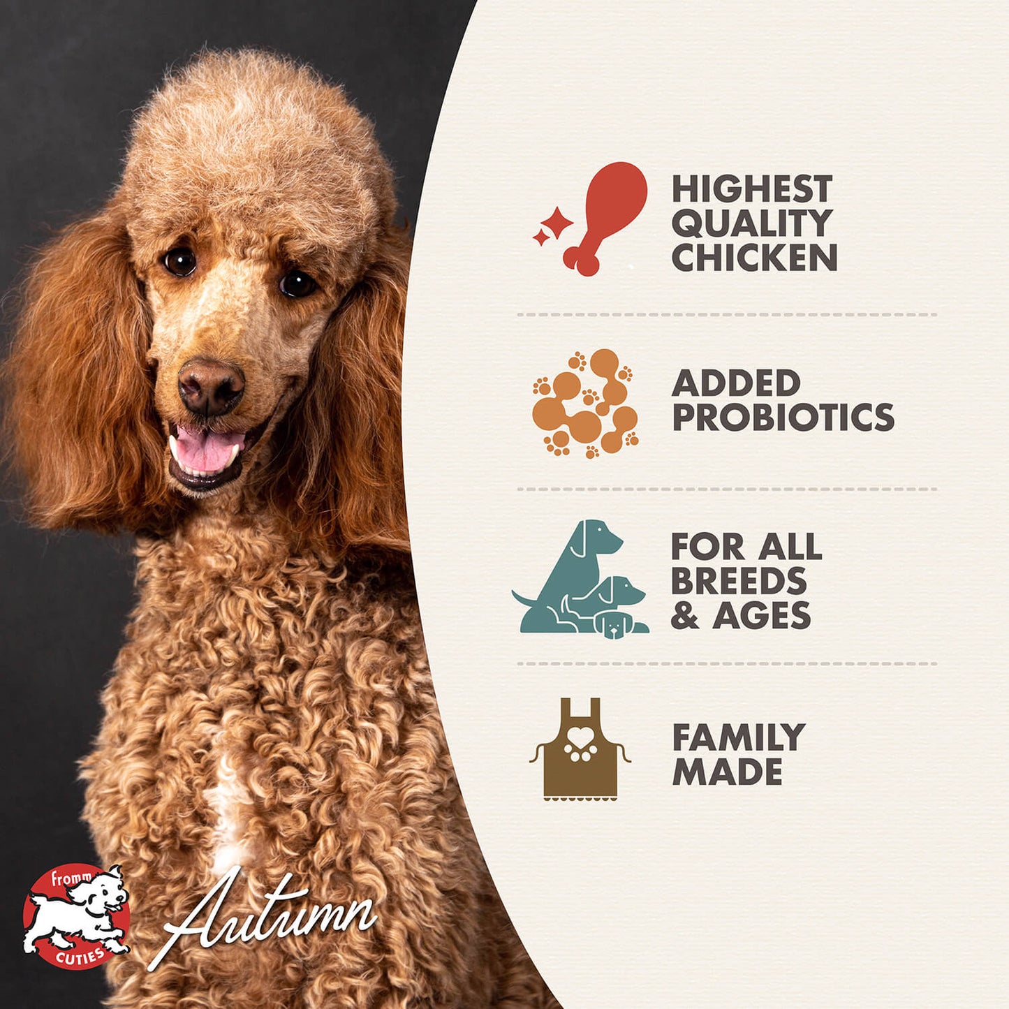 Fromm Four-Star Grain Free Chicken Au Frommage Dry Dog Food