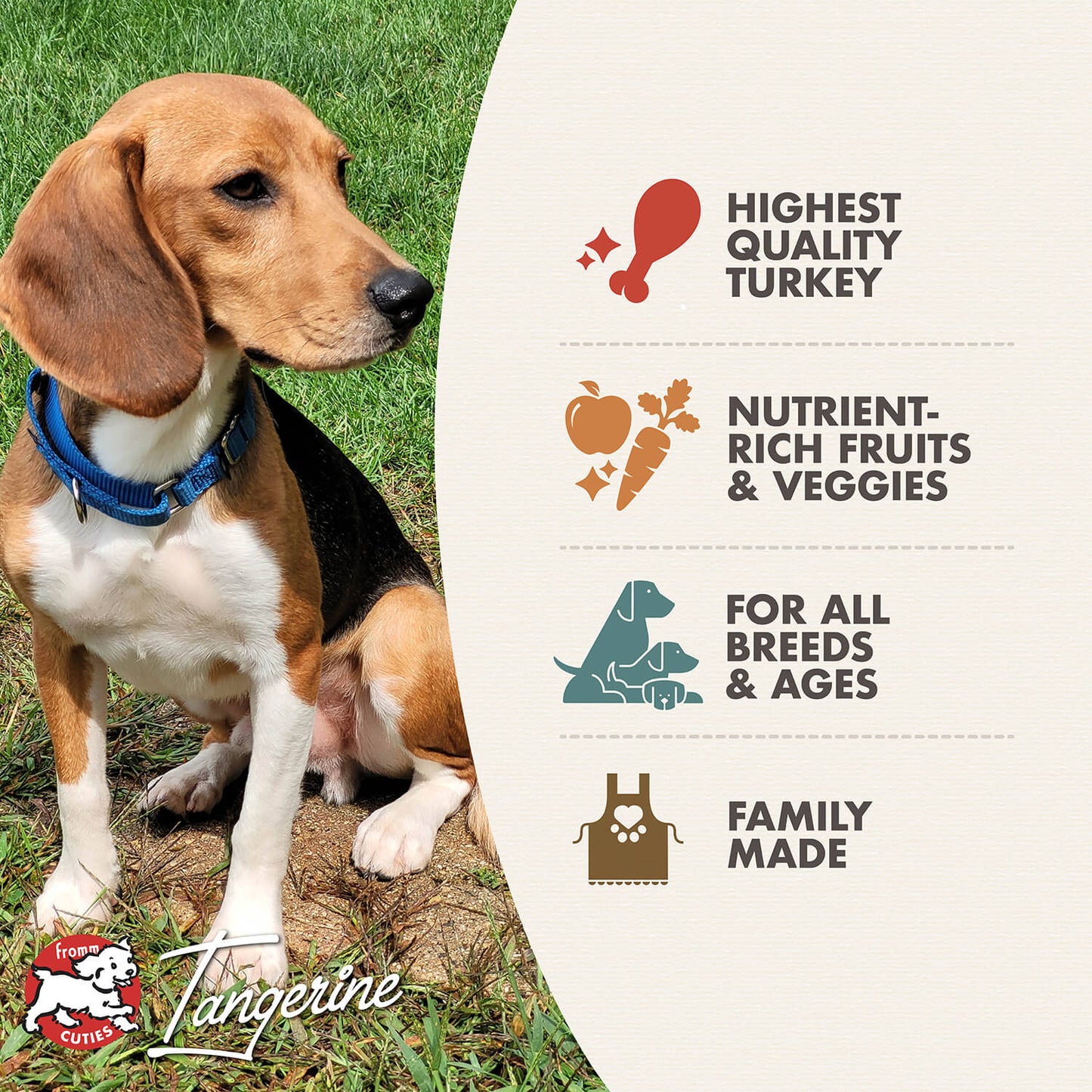 Fromm Four-Star Grain Free Game Bird Dry Dog Food