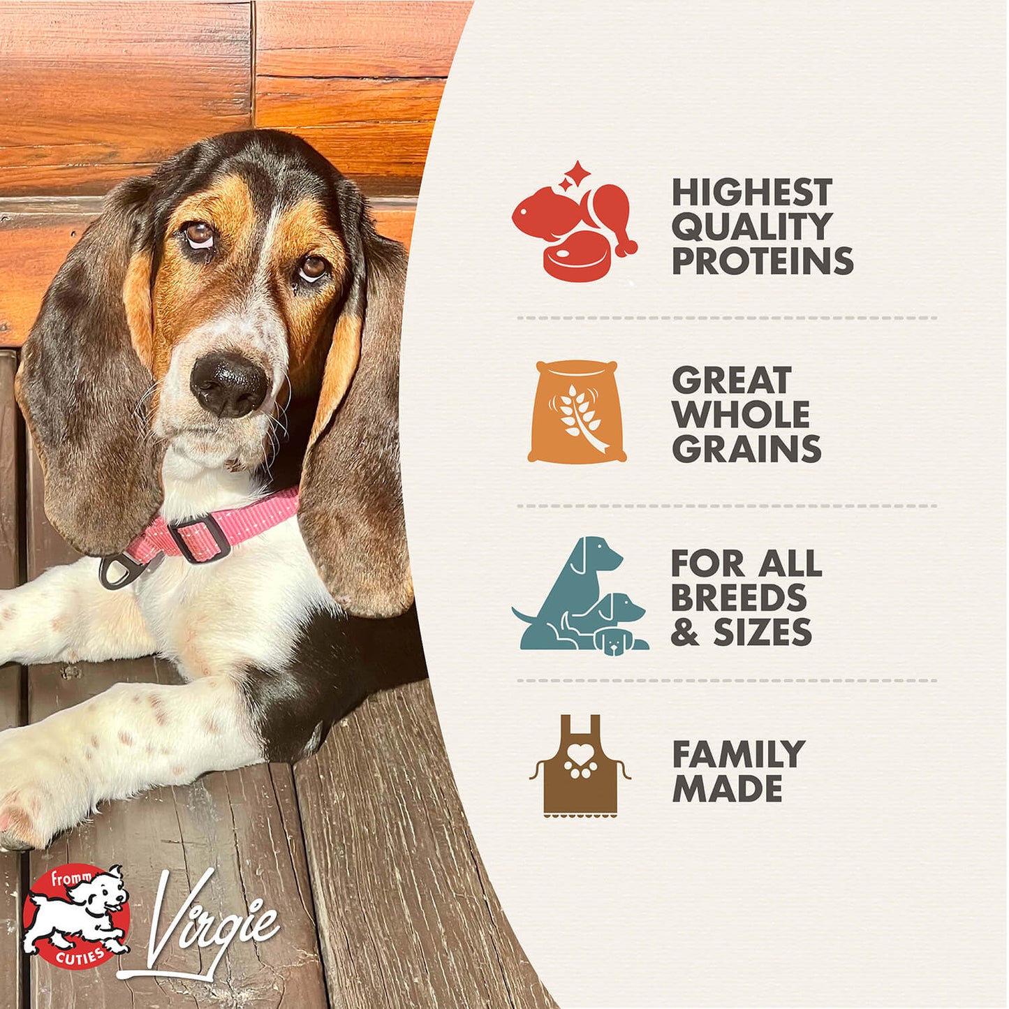Fromm Gold Adult Dry Dog Food