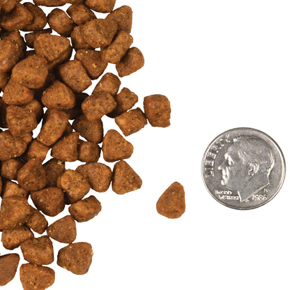 Fromm Four-Star Grain Free Chicken Au Frommage Dry Cat Food