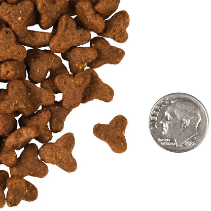 Fromm Four-Star Grain Free Game Bird Dry Cat Food