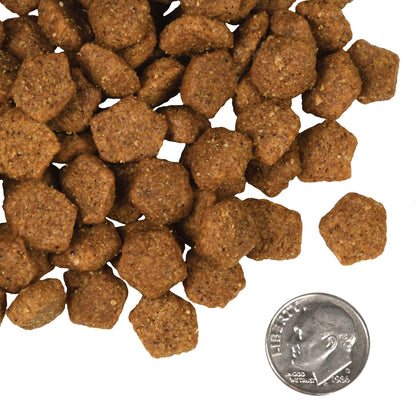 Fromm Four-Star Duck A La Veg Dry Dog Food