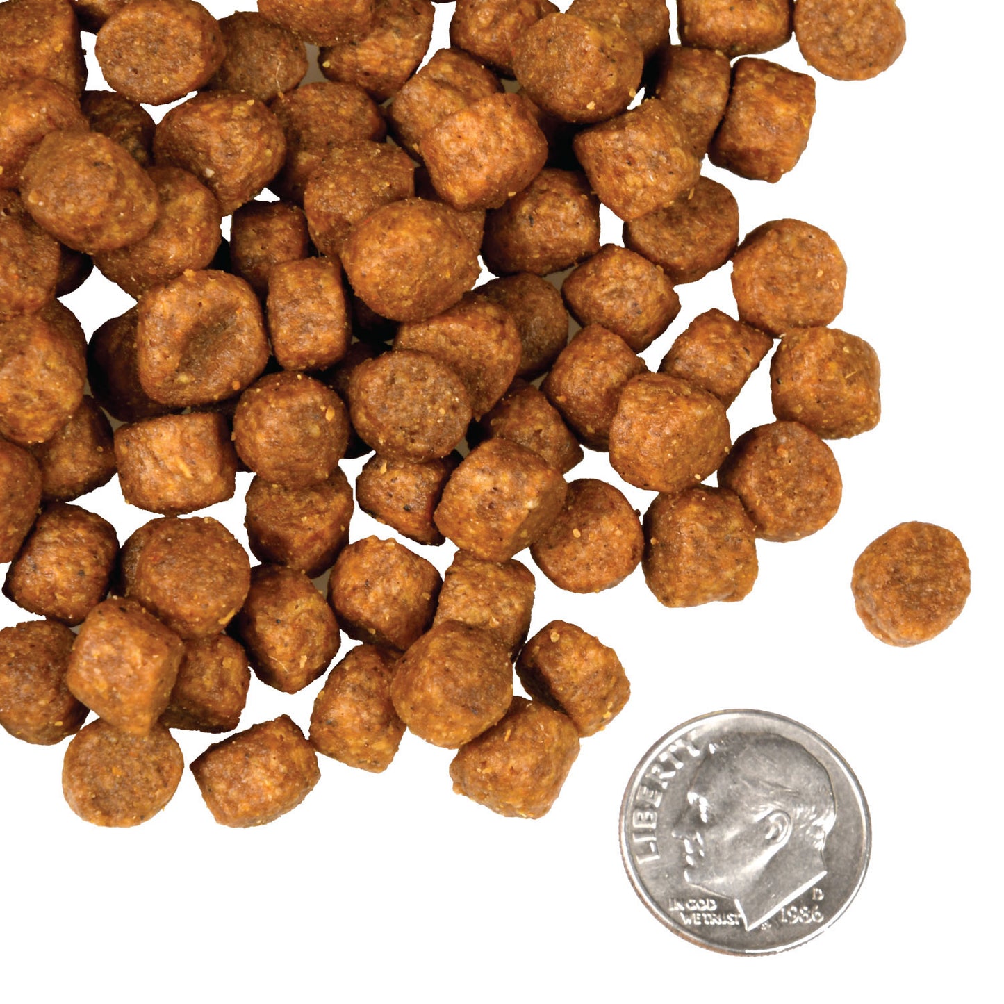 Fromm Four-Star Grain Free Game Bird Dry Dog Food